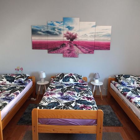 Studio Apartman Centar Ogulin Eksteriør bilde